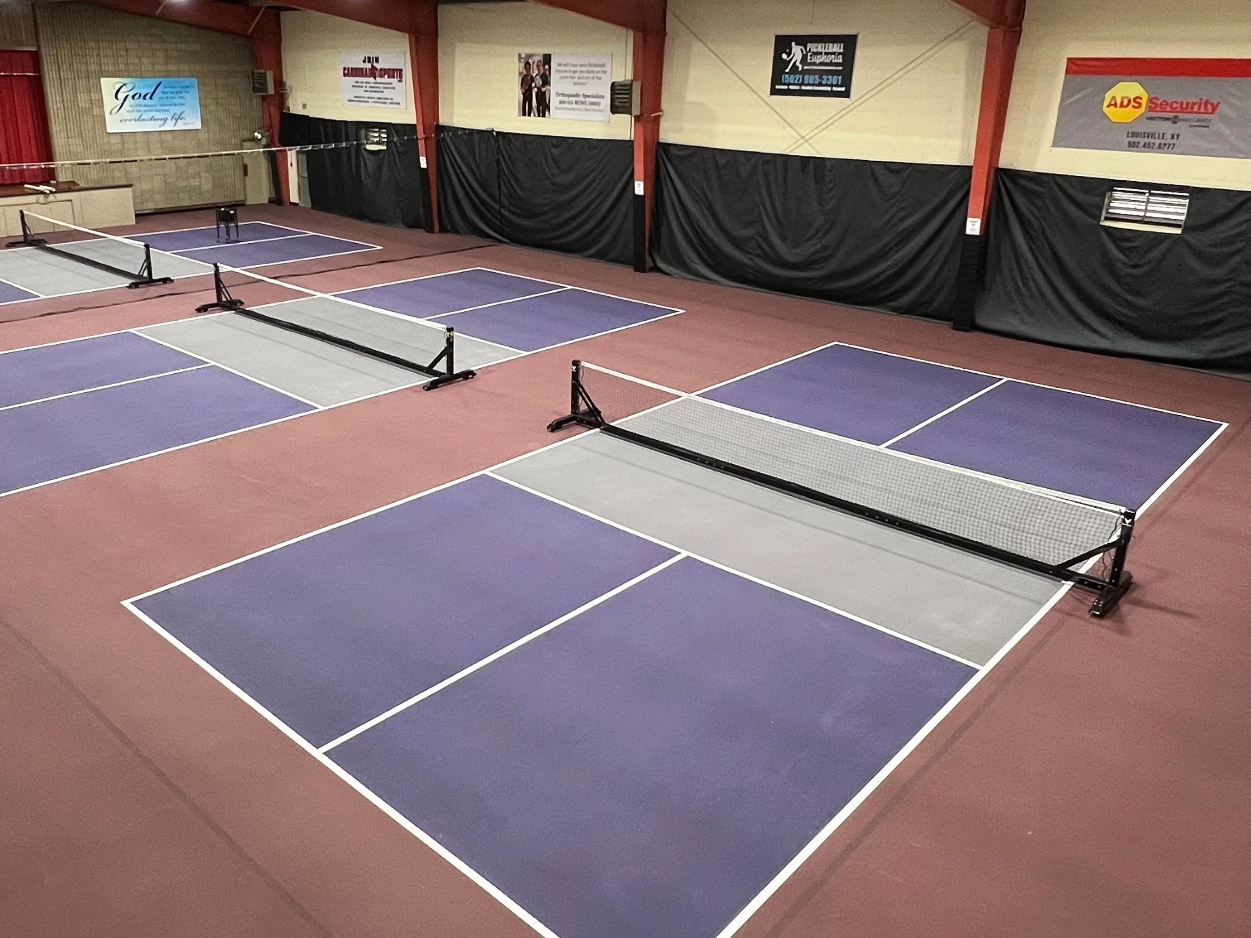 Pickelball Euphoria Pickleball, Weightloss, Community